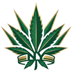 NYStateCannabis.org
